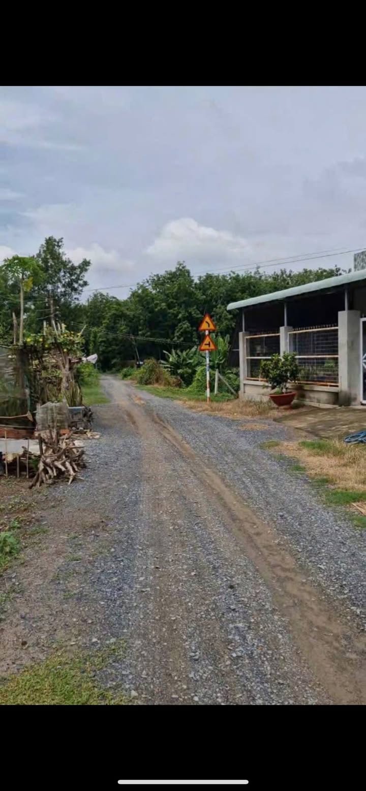 Đất nền Hiệp Thạnh, Gò Dầu 484m² giá 800 triệu - Cần bán gấp!