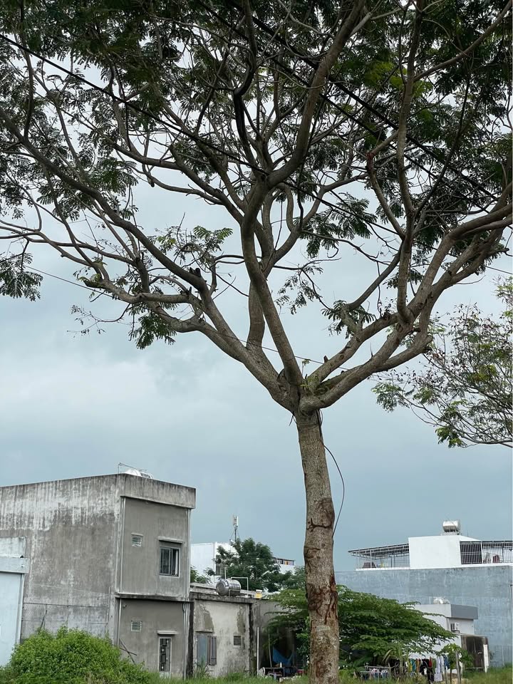 Lô đất Hòa Hải Ngũ Hành Sơn 90m² giá 4 tỷ - Cơ hội đầu tư sinh lời