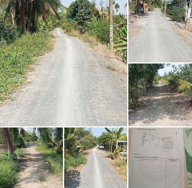 Đất nền Thạnh Hòa, Bến Lức 2100m² giá 802 triệu - Cơ hội đầu tư hiếm có!