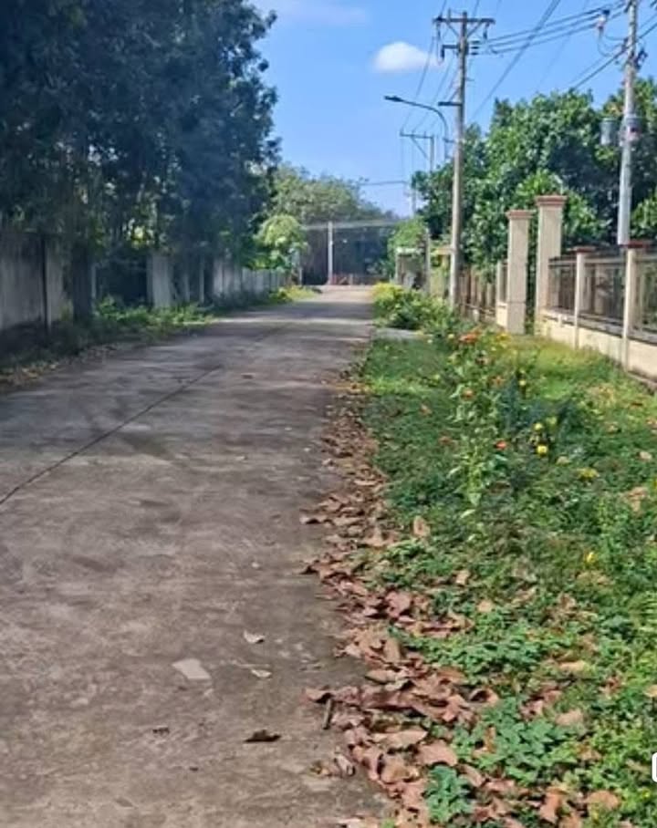 Đất thổ cư 300m² Phú Giáo - Giá chỉ 570 triệu - Gần chợ và trường học!