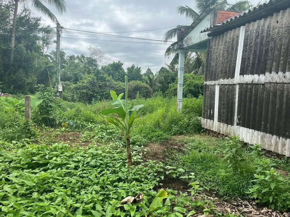 Đất nền Xà Phiên TP Cần Thơ 536m² giá 750 triệu - Sổ đỏ chính chủ!