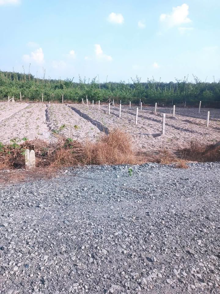 Đất thổ cư Lộc Ninh Dương Minh Châu 150m² giá 200 triệu - Cơ hội đầu tư hấp dẫn!