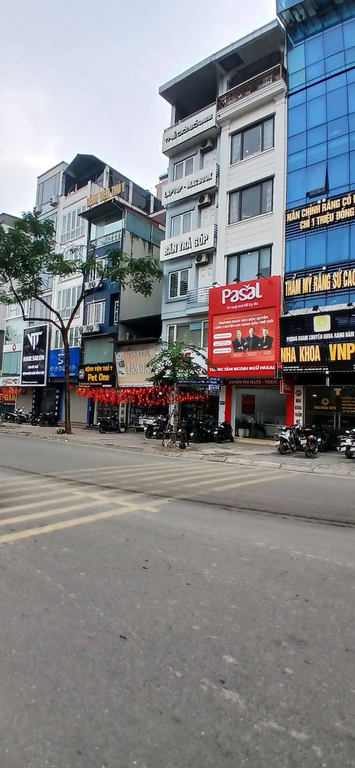 Bán đất mặt phố Trần Quốc Hoàn, Cầu Giấy 56m² - Vỉa hè rộng - Kinh doanh sầm uất!
