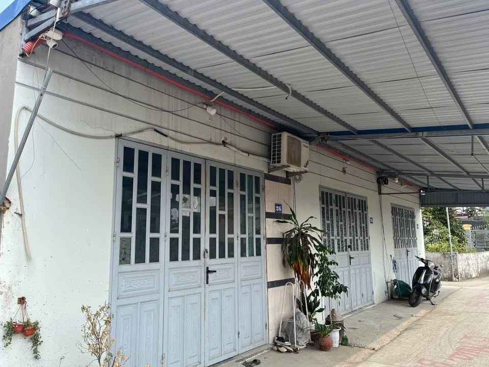 Nhà cấp 4 tại Hồng Thái, An Dương, Hải Phòng 63-80m² giá chỉ từ 1.5 tỷ - Chính chủ bán gấp!