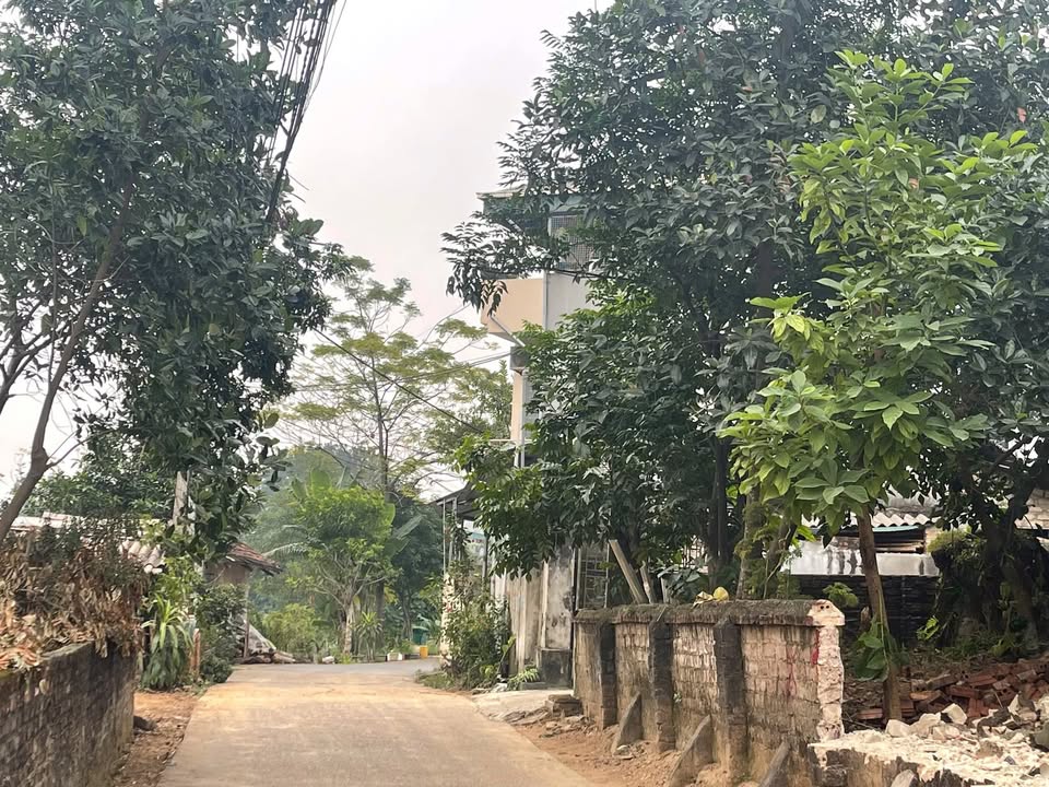 Đất nền khu 10 Xóm Lăng, xã Trưng Vương, TP. Việt Trì 190m² giá từ 300 triệu - Tiềm năng tăng giá mạnh!