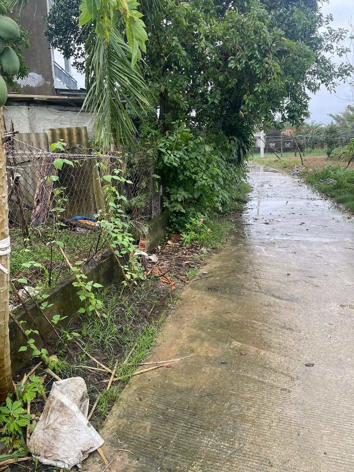 Đất ở Tịnh An 130m² giá 700 triệu - Vị trí tiềm năng gần khu TĐC