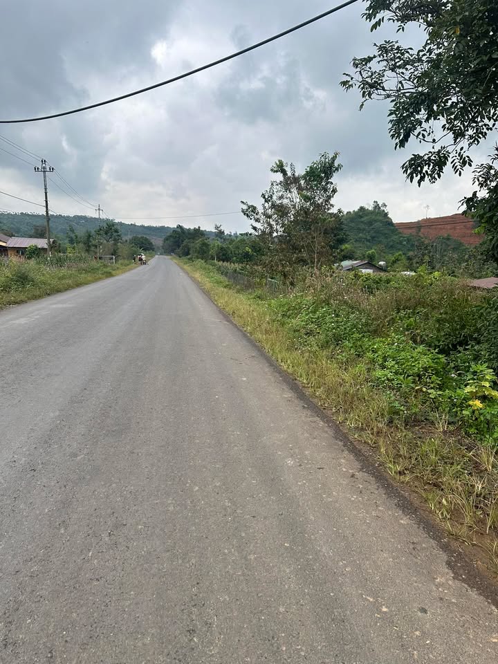 Đất nền mặt đường tỉnh lộ Long Sơn Đắk Mil 500m² giá 155 triệu - Cơ hội đầu tư vàng!