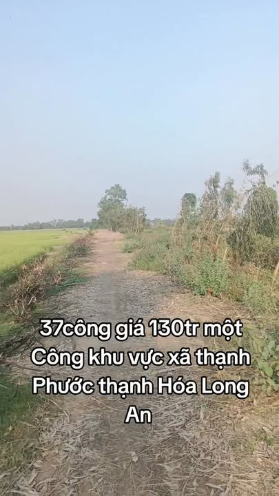 Đất nông nghiệp 133.200m² xã Thạnh Phước, 4.81 tỷ - Giá tốt, vị trí thuận lợi!