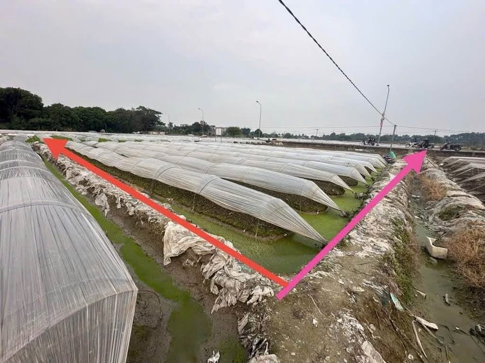 Đất nông nghiệp Phúc Thịnh Đông Anh 416m² giá 700 triệu - Cơ hội đầu tư tuyệt vời!