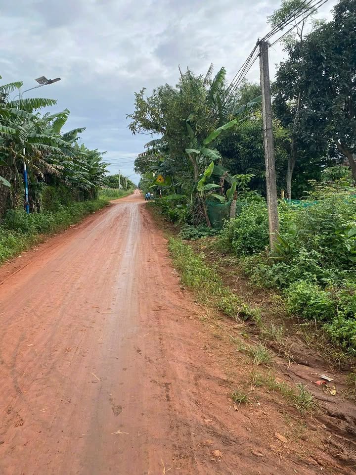 Đất thổ cư Cư Ni, Ea Kar 480m² - Giá tốt, vị trí thuận lợi!