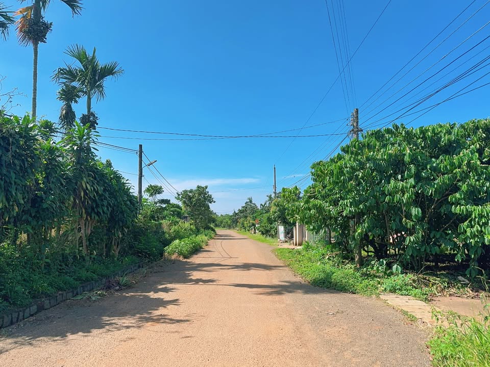 Đất nền Lộc Đức Bảo Lâm 275m² giá 850 triệu - Đầu tư sinh lời ngay!