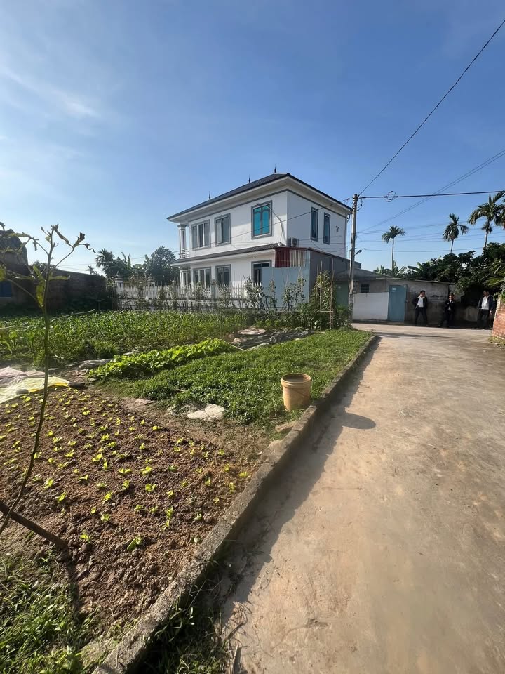 Đất nền Ninh Hải Ninh Giang 96m² giá thỏa thuận - Cơ hội đầu tư tuyệt vời!