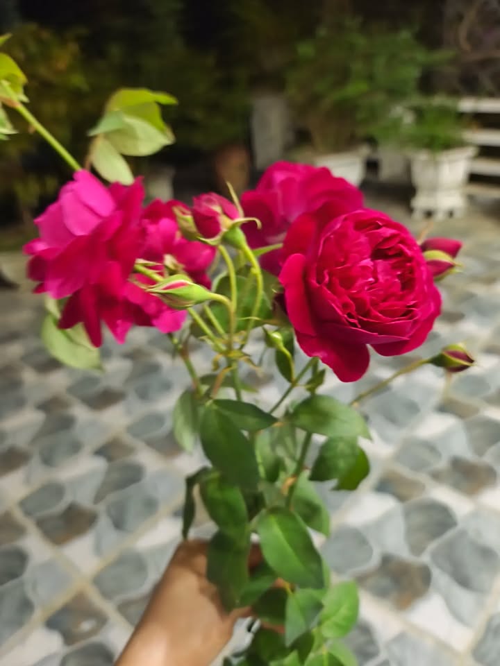 Đất nền Kinh doanh đường 4A Quảng Cát 100m² giá chỉ 2 tỷ - Cơ hội đầu tư hấp dẫn!