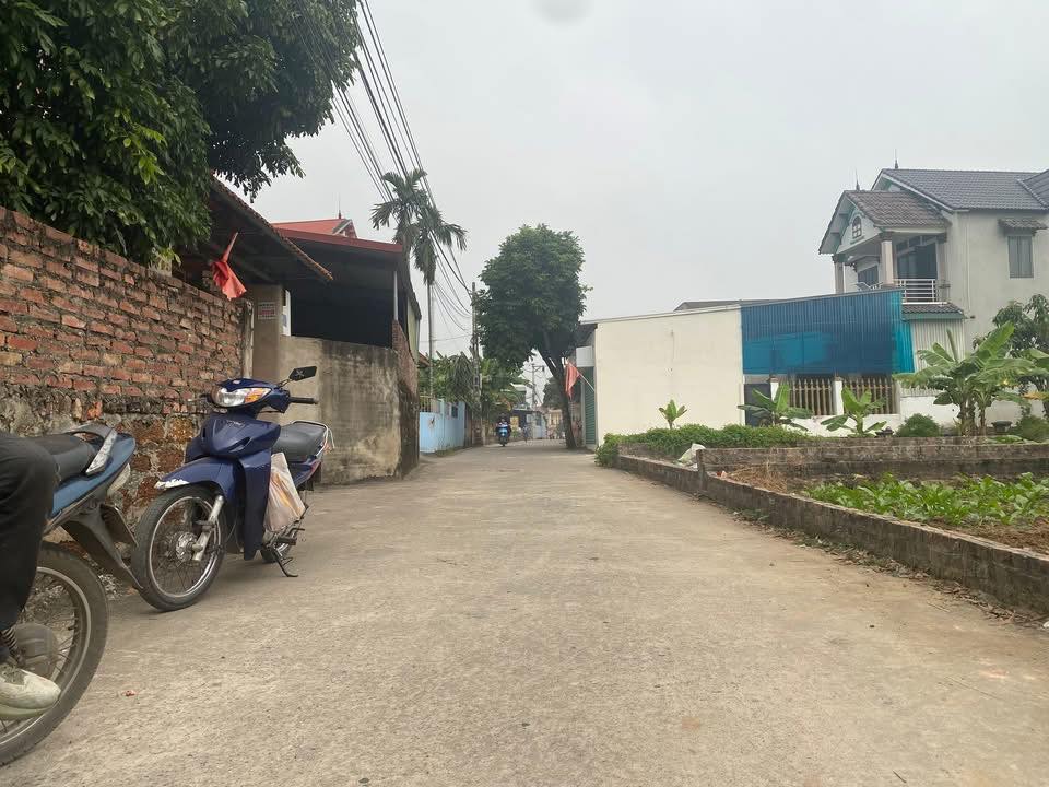 Đất đẹp 100m² Kim Anh, Sóc Sơn chỉ từ 2 triệu/m² - Nhanh tay sở hữu!