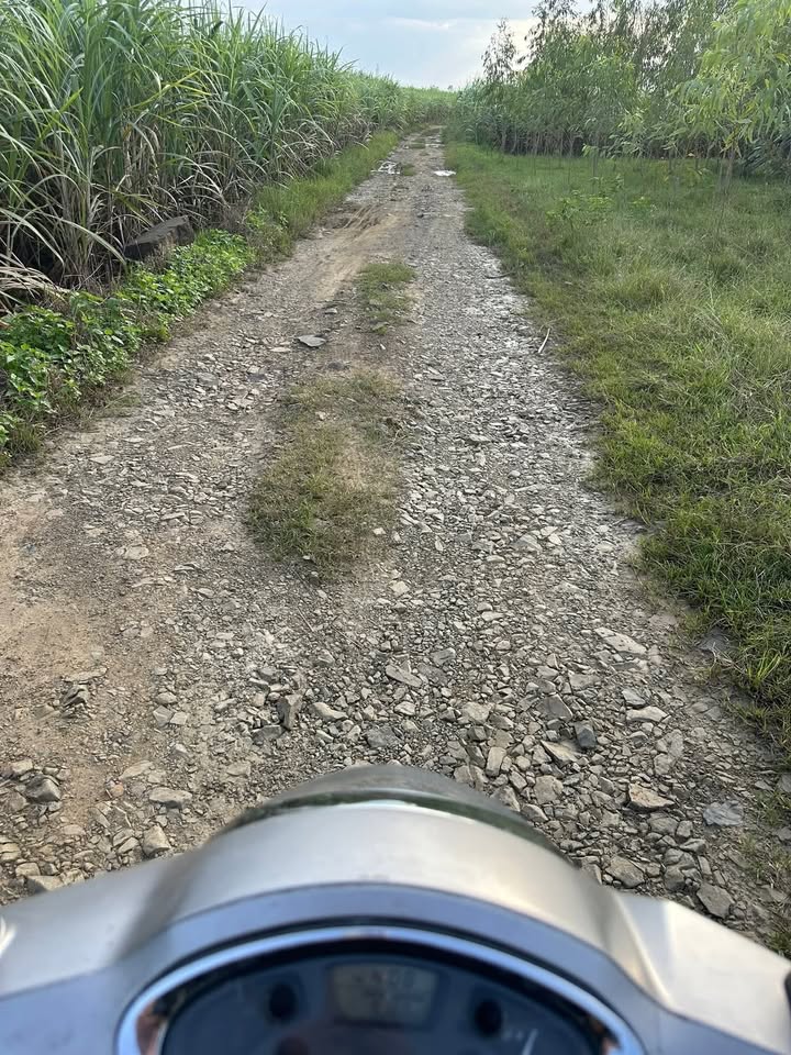 Đất nông nghiệp Ninh Xuân 8000m² giá 300 triệu - Cơ hội đầu tư hấp dẫn!