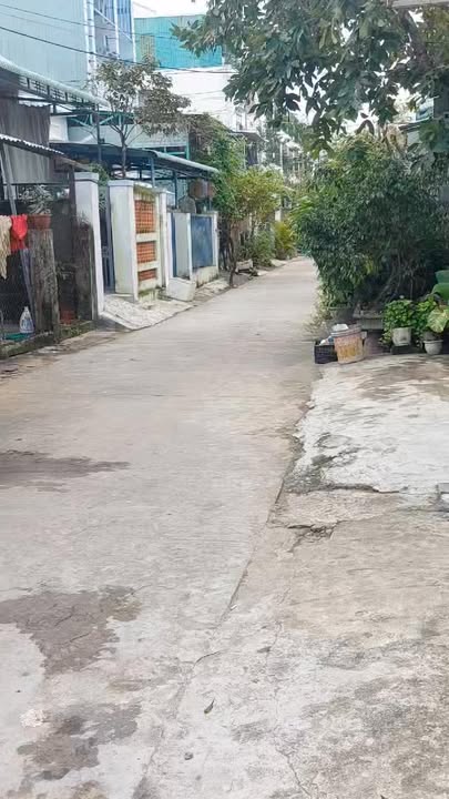 Nhà cấp 4 tại hẻm Nguyễn Đình Chiểu, An Nhơn 53m² - Không gian riêng tư lý tưởng!