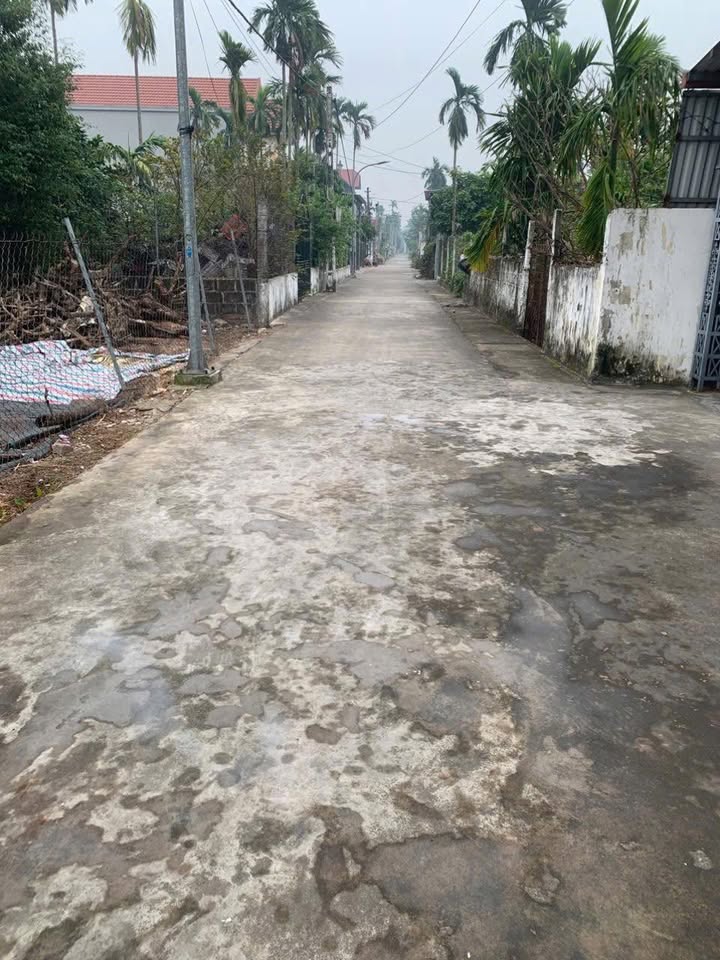 Đất nền Hải Tân 120m² giá 800 triệu - Đầu tư sinh lời ngay hôm nay!