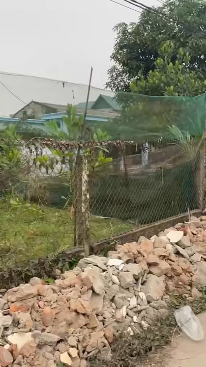 Đất nền đẹp tại Đông Thành, Phú Thọ 320m² giá chỉ 1.2 tỷ - Đầu tư sinh lời ngay!