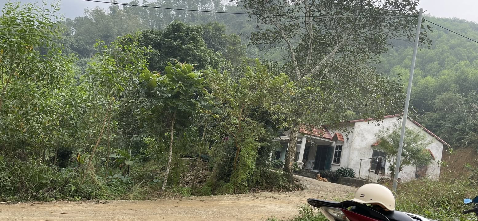 Đất ở Lương Sơn, Yên Lập, Phú Thọ 16.000m² giá 3 tỷ - Cơ hội đầu tư hấp dẫn!