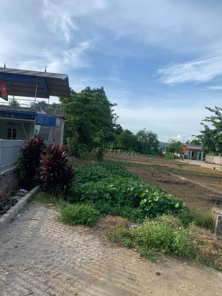 Đất nền chính chủ tại Thanh Sơn Lương Sơn 90m² giá 990 triệu - Mặt đường liên xã thuận lợi!