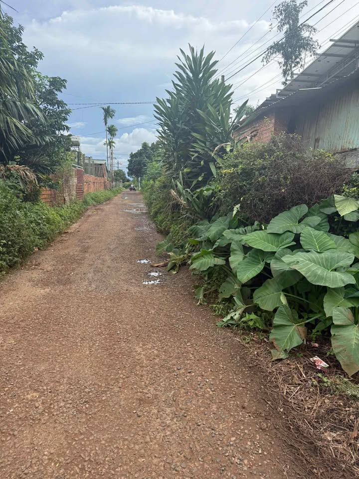 Lô đất 450m² tại khu phố 6, Pơng Drang - Giá 1.8 tỷ, thương lượng chính chủ!