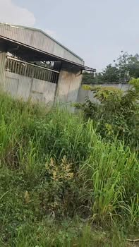 Đất tặng nhà y hình tại Bến Cát, Bình Dương 600m² giá 2.8 tỷ - Cơ hội hiếm có!