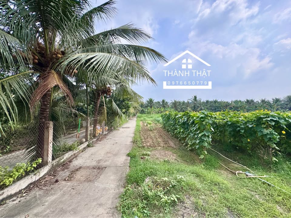 Đất thổ cư 2 mặt tiền đường N3, Mỹ Tho 2947m² - Hướng Tây và Bắc, giá thương lượng!