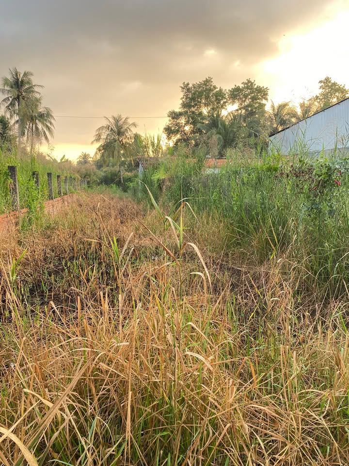 Đất nền mặt tiền đường 30/4, xã Cái Nhum, 1144m² giá 2.7 tỷ - Cơ hội đầu tư hấp dẫn!