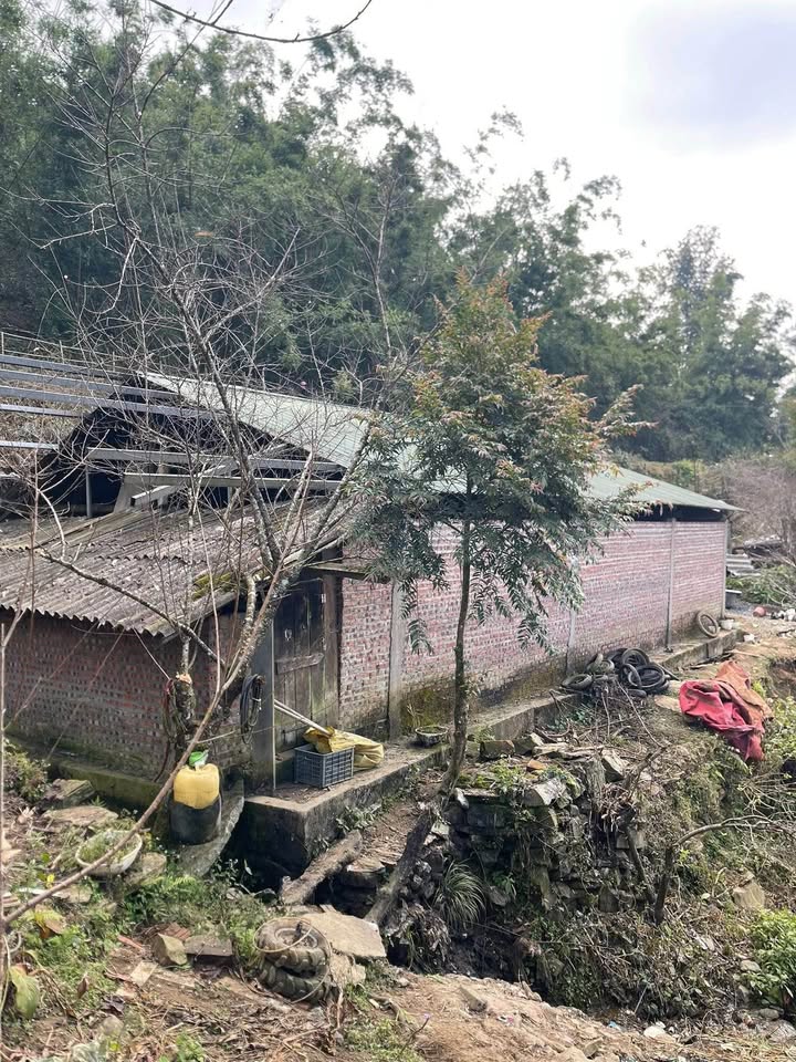 Đất thổ cư tiềm năng tại thôn Cửa Cải, xã Ngũ Chỉ Sơn, 1500m² - Đầu tư sinh lời!