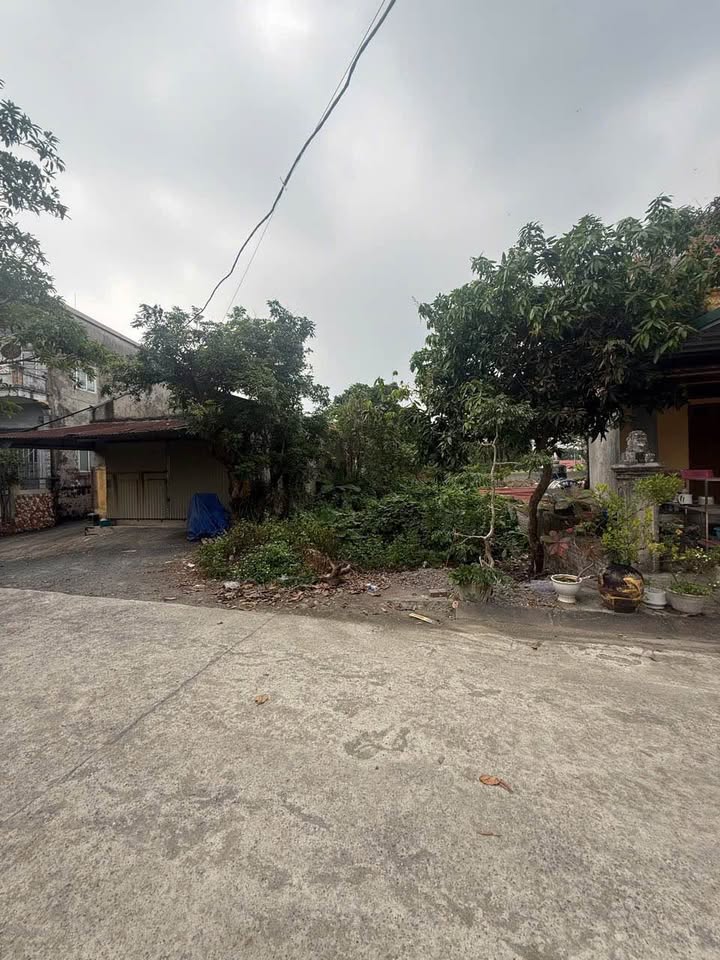 Đất nền Nam Thành, Hoa Lư 99m² giá 2.3 tỷ - Đầu tư sinh lời ngay!