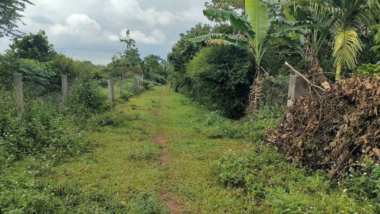 Đất thổ cư Cư Bao, Buôn Hồ 205m² giá chỉ 255 triệu - Đường ô tô thông thoáng!