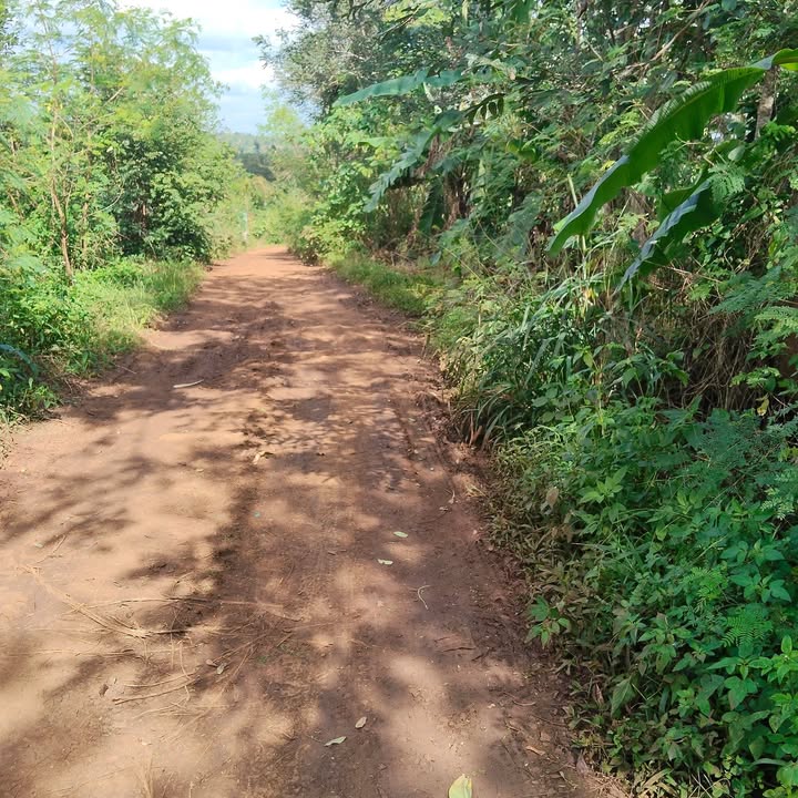 Đất nền Buôn Hồ 1188m² giá 891 triệu - Cơ hội đầu tư tuyệt vời!