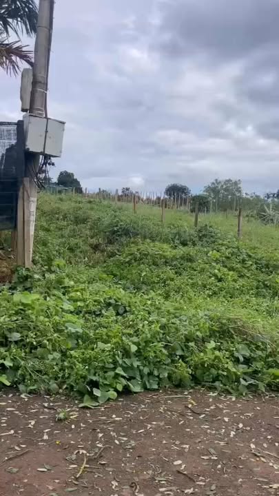 Đất thổ cư đường Phạm Hồng Thái, Buôn Hồ 280m² giá 215 triệu - Cơ hội đầu tư không thể bỏ qua!