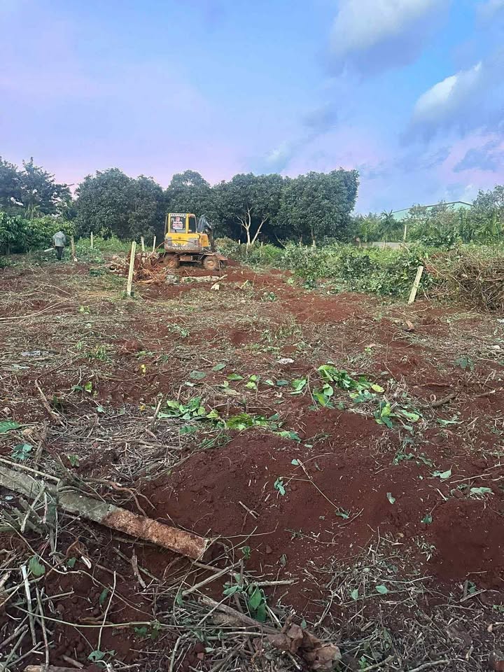 Đất nền Đạt Hiếu, Buôn Hồ 262m² giá 1.15 tỷ - Chính chủ bán nhanh!