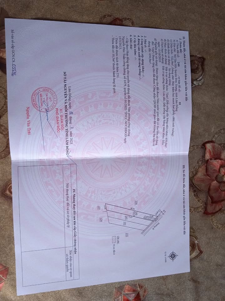 Đất nền Tân Hội Đức Trọng 727m² giá 1.3 tỷ - Cơ hội đầu tư tuyệt vời!