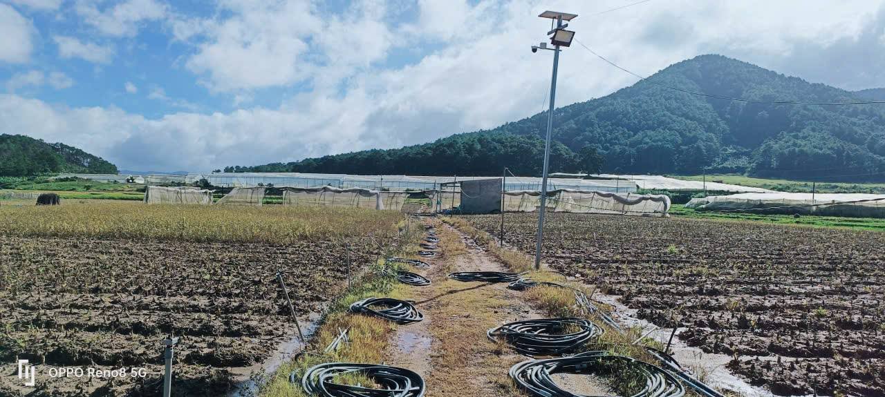 Đất nền 10500m² tại xã Ka Đơn, Đơn Dương - Giá chỉ 8.138 tỷ VND