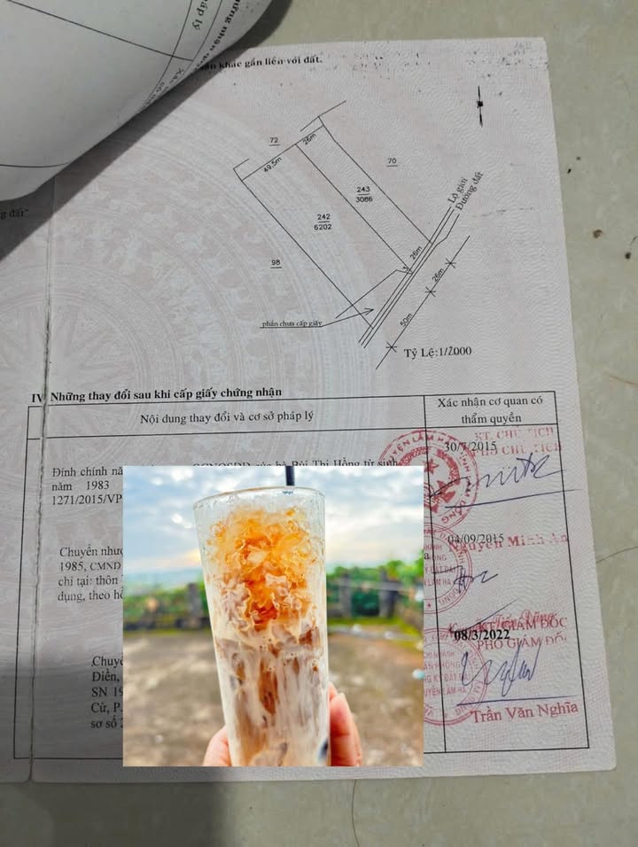 Đất nền Tân Thanh, Đức Trọng 2902m² giá 1.85 tỷ - Đầu tư sinh lời ngay!