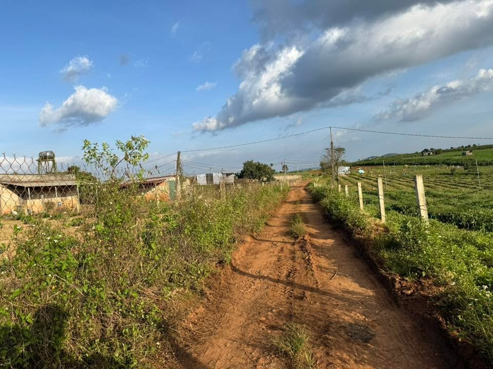 Đất nền 5.2 sào tại Tân Hội, Đức Trọng - Giá chỉ 5.6 tỷ VND