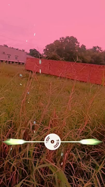 Đất lúa mặt tiền bê tông 26m Trương Tấn Sang 402m² - Giá 1 tỷ, thích hợp phân lô!