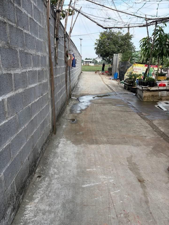 Đất nền thổ cư 100% tại hẻm chợ Mỹ Hạnh Nam, 100m² giá 1.36 tỷ - Đầu tư sinh lời ngay!