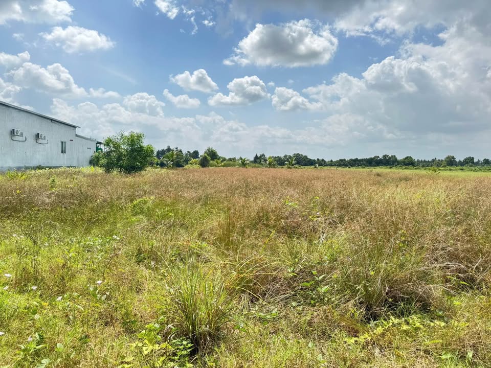 Đất thổ cư 250m² tại khu phố Ông Muộn, Cà Mau - Giá chỉ 520 triệu!