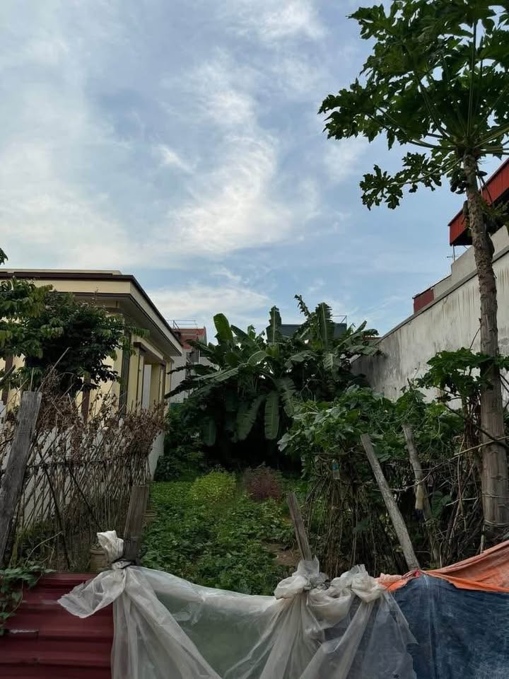 Đất bán Liêu Xá, Yên Mỹ 159m² - Phong thủy tốt, giá thỏa thuận!