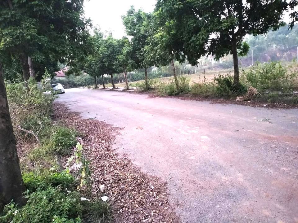 Đất nền xóm Giữa, Quất Lưu, Bình Xuyên 82m² giá 1.2 tỷ - Cơ hội đầu tư tuyệt vời!