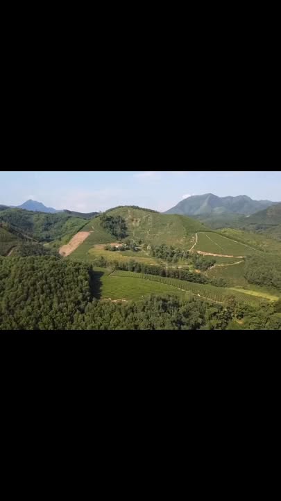 Lô đất Farm 4000m² tại Minh Đài, Phú Thọ - Giá chỉ 2 tỷ, Sổ hồng chính chủ!