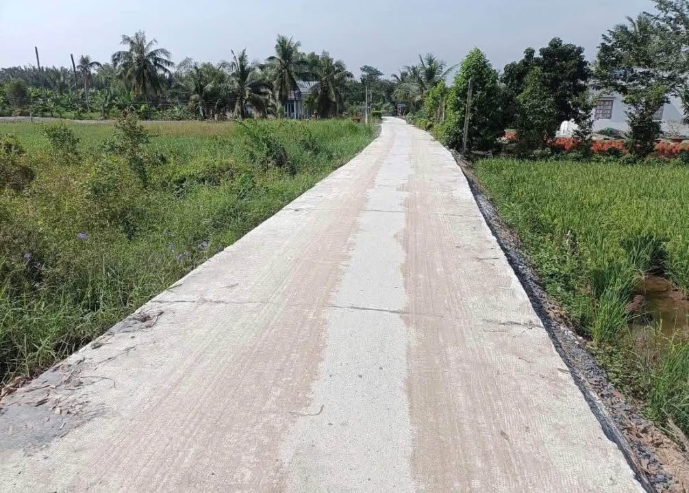 Đất thổ cư ấp 3, xã Mỹ An, Thủ Thừa, Long An 390m² giá 1.56 tỷ - Sổ hồng chính chủ!