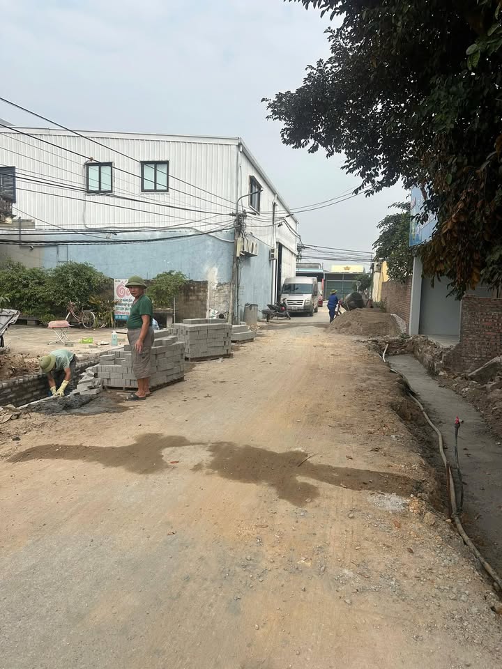 Đất nền An Quang, An Lão 128m² giá thỏa thuận - Vị trí đẹp, đầu tư sinh lời!