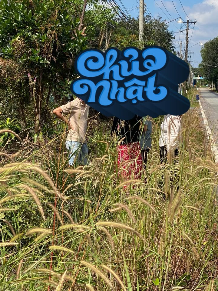 Đất thổ cư Tân Lập Dầu Tiếng 500m² giá 3 tỷ - Đầu tư sinh lời ngay!