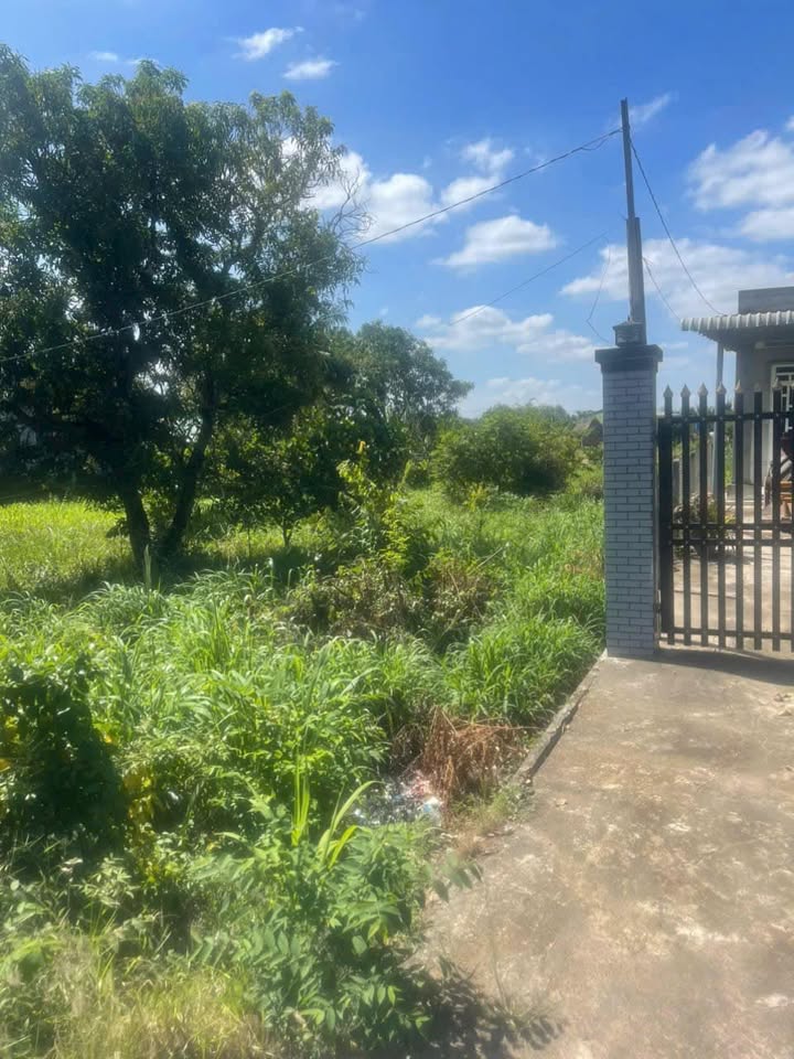 Đất nền mặt tiền 786, 330m² giá 900 triệu - Cơ hội đầu tư tốt nhất!