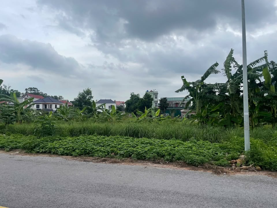 Đất nền Dĩnh Trì, Bắc Giang 80m² giá 3.3 tỷ - Đầu tư sinh lời ngay!