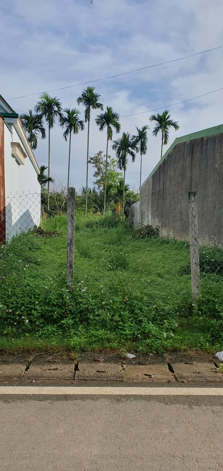 Đất mặt tiền Phan Huy Ích, Bảo Lộc 259m² - Giá tốt, cơ hội đầu tư!